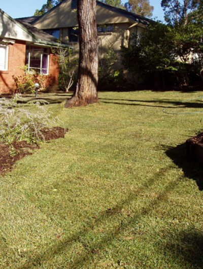 Lawns & Soft Landscaping - Daly Rd Wahroonga (after lawn and landscaping)